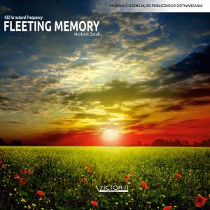 Fleeting memory 432 hz - Norbert Sztuk mp3